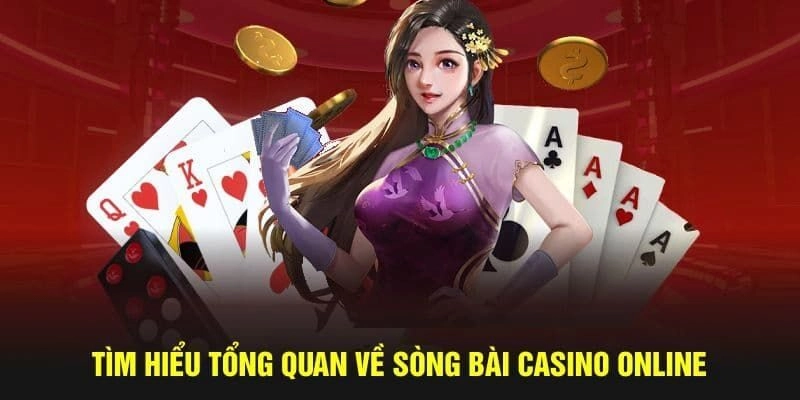 Vài nét cơ bản về TP người thật